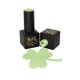 Nail Brand Gel Polish 10704 Singapore 10ml