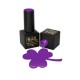 Nail Brand Gel Polish 13704 Goa 10ml